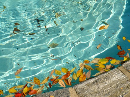 My piece of paradise